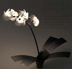 Led street light company will be closed?