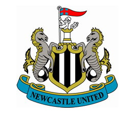 Newcastle United Football Club use led lighting 12v