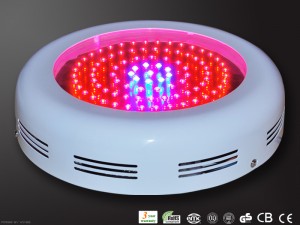 "one Hour on earth" the led light energy saving friendly