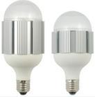 what is led light bulbs from Eneltec?