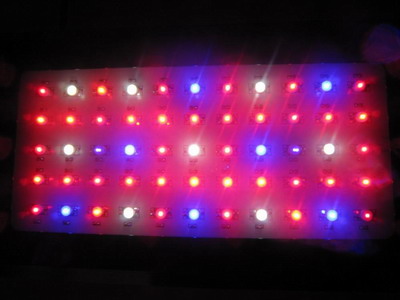 supernova led grow lights inhibition of urban crime