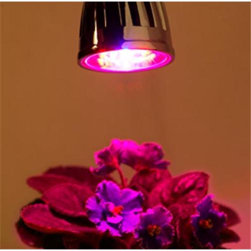 LED grow light on plant 