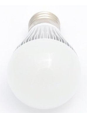 A19 Warm White LED Bulb