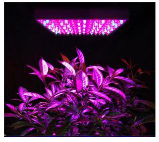 The advantage of LED Grow Lights