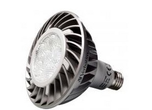 19W LED PAR38 Spot Light IP54 Outdoor Rated 4500K