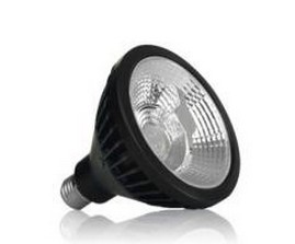 20W 240V LED PAR38 Light