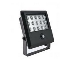 25W LED Sensor Light LED Flood Light