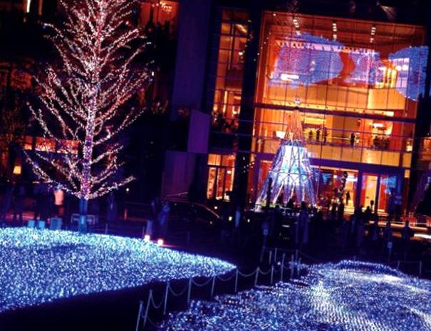 LED Strip Lights SMD5050 60pcs 14.4W Christmas Lights flexible for saving energy