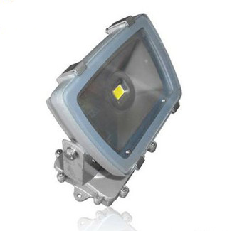 High power 30W 3000lm RGB explosion proof led flood light