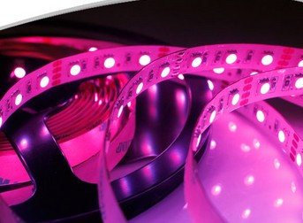 SMD5050 led strip light christmas led lights