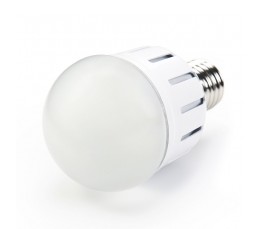 12 Volt AC 8W E27 LED Bulb