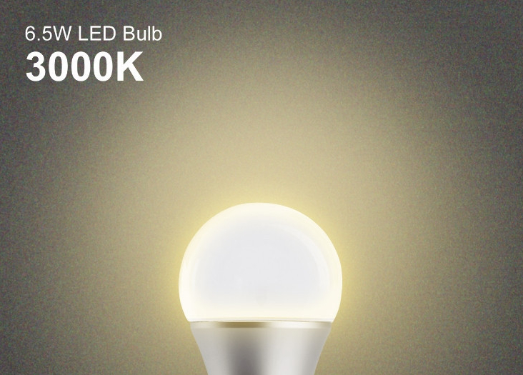 6.5 Watt Dimmable A19 LED Light Bulb 450 Lumens