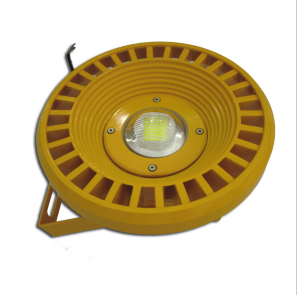 DC24V 30W LED Explosion Proof Light