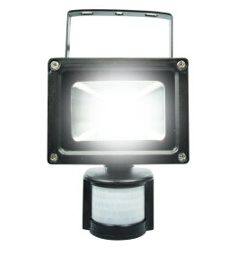 10W LED PIR Security Light