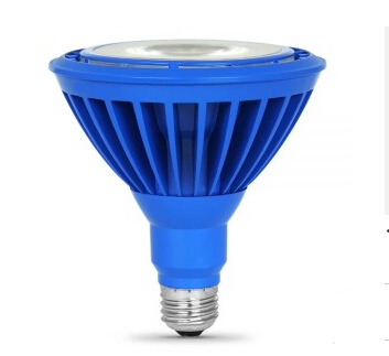 16W Blue PAR38 E26 120V LED Bulb