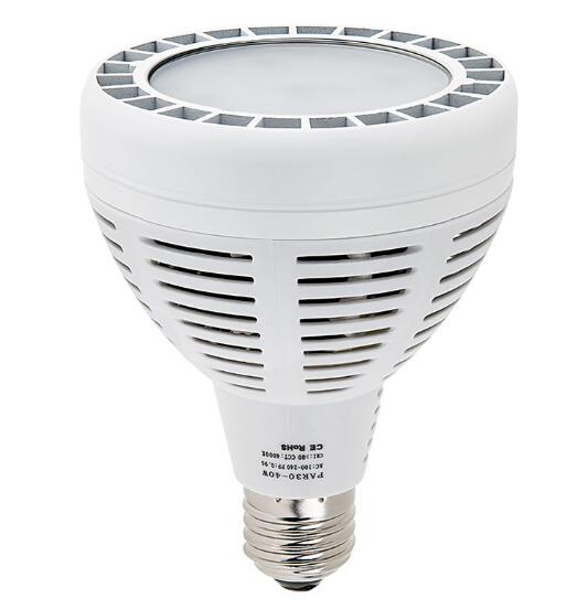 40 Watt LED Spotlight Bulb