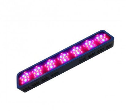 77x3W Red and Blue LED Grow Light