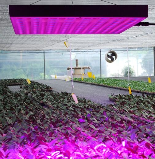 LED grow lighting demand have a huge increase in North American