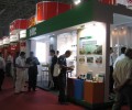 LED lightings are going to mature and custom market worth to wait