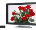Technical advantages of LED backlight source