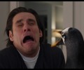 high quality LED Flood Lights make you happy like Jim Carrey