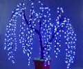 To carry out high lumen led lights activities 