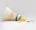 SFT spotlight led light shine the Japan International Lighting Fair