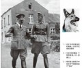Hitler's the Wolfenstein life: misogynist, white led light rely on the frog called hypnosis