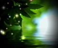 The advantages and disadvantages of LED floor lighting