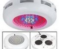 white led grow lights with the LED Lighting development