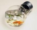 what is a led light bulb with different power supply?