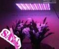what are the best led grow lights in printing