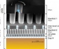 Cooling technique for super high power LED lights (4)