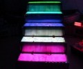 efficiency of top rated led grow lights