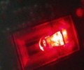 t7 led bulb in mouse application