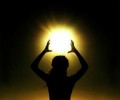 stealth grow led light and Humane and artistic