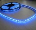 rgb led flashlight and Xenon lamp