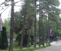 The major problems of the existing street lighting design