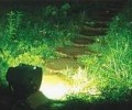 The representive of NPC strongly suggest to develop energy-efficient lighting industry