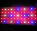supernova led grow lights inhibition of urban crime