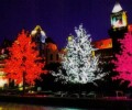 The LED industry trends
