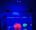 Bedroom led lamp