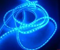 led company in Shanghai
