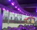 Advanced led grow lights business have huge opportunities