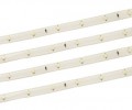 American DJ Accent strip CW white