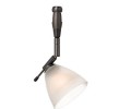 LBL Lighting Mini-Dome I Swivel I Frost LED 2-Circuit Rail 1 Light Track Head