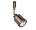 LBL Lighting Rev Swivel LED 2-Circuit Rail 1 Light Track Head