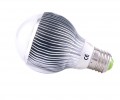 led replacement light bulbs in new market