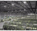 LED High Bay Lights are installed in what occasion
