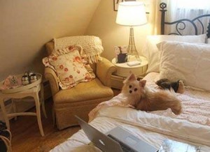 PWM analysis for high power led bicycle lights